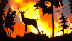 A deer stands in front of a forest fire.