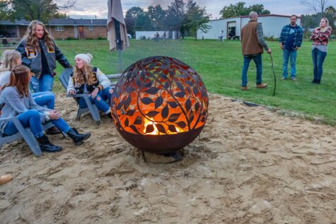 Eden Firepit Sphere - Image 4